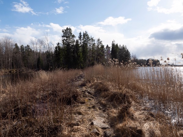 Andra torsdagen i april tog vi oss till naturreservat Bredforsen vid Nedre Dalälven. Vi gick in i reservatet från söder. Inledningsvis vandrade vi på en grusväg för att sedan svänga höger in på en st...