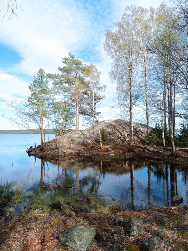 Bild på omgivning vid eldstad (kulle till vänster om grillplatsen)