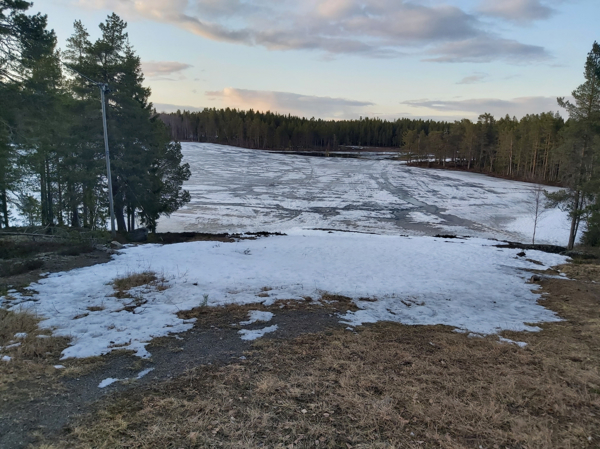 Backen sedd uppifrån