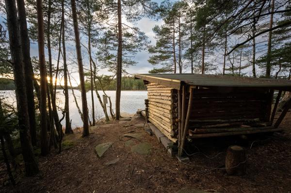 Vindskydd Lilla Lövsjön östra