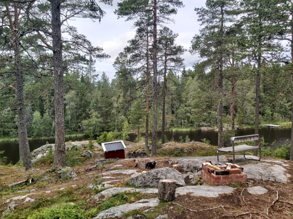 Utsikt mot sjön