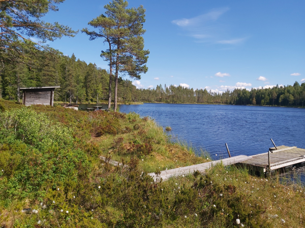 Brygga i förgrunden