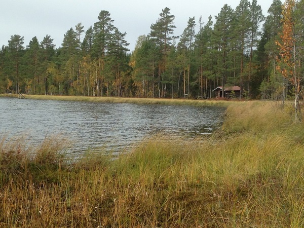 Foto: Ovanåkers kommun