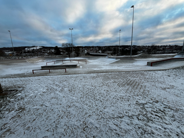 Skateboard-parken