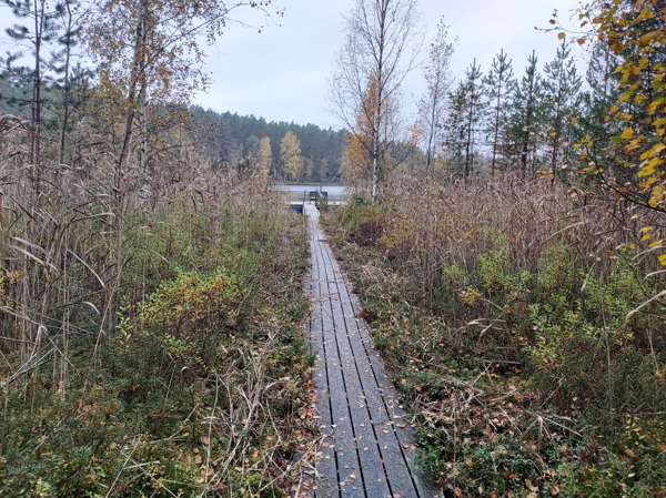 Spång till flytbryggan