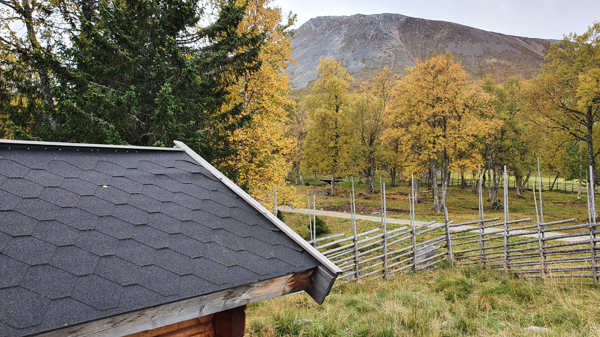 Toppen av sonfjället kan ses från skyddet.