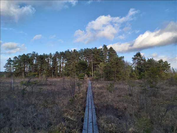 Holmen sedd söderifrån