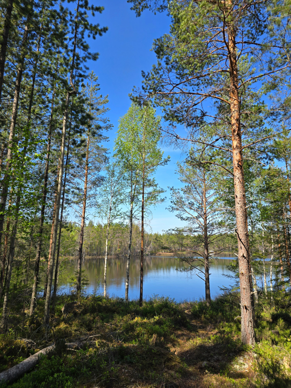 Utsikt över Vällingen